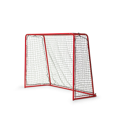 Goals & backstop